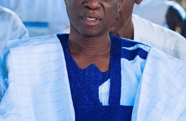 President Tinubu appoints Ilorin-born educationalist into NASS commission